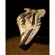 Pentagon Python Sneakers K15066 – Ανδρικά Tactical Παπούτσια